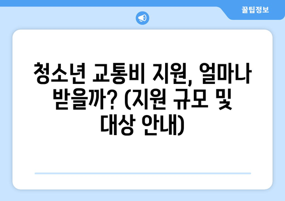 청소년 교통비 지원, 얼마나 받을까? (지원 규모 및 대상 안내)