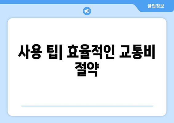 사용 팁| 효율적인 교통비 절약