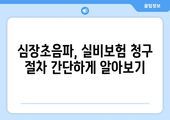 심장초음파, 실비보험 적용 가능한 경우는? | 건강보험, 보장 범위, 주의 사항