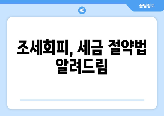 조세회피, 세금 절약법 알려드림