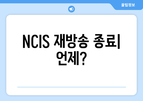 NCIS 재방송 종료| 언제?