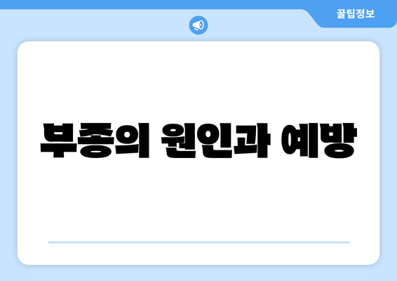 부종의 원인과 예방