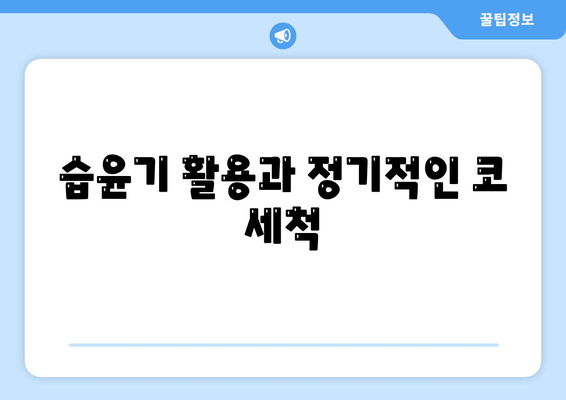 습윤기 활용과 정기적인 코 세척