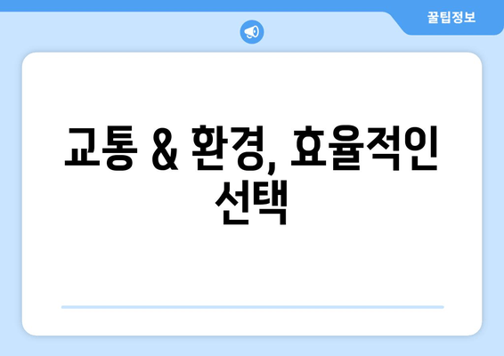 교통 & 환경, 효율적인 선택