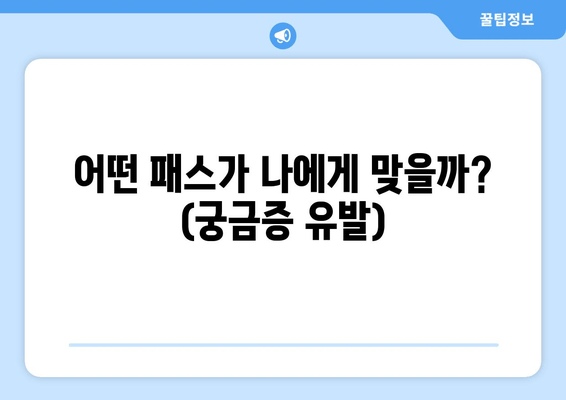 어떤 패스가 나에게 맞을까? (궁금증 유발)