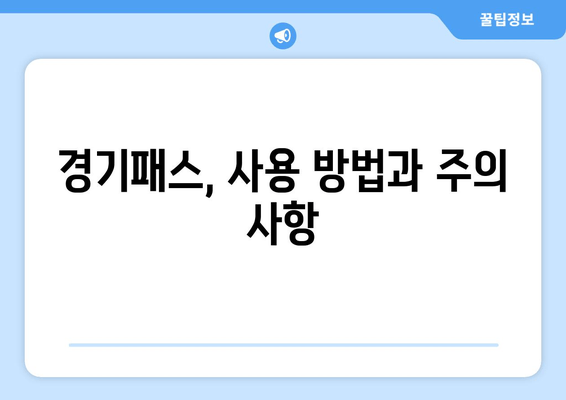 경기패스, 사용 방법과 주의 사항