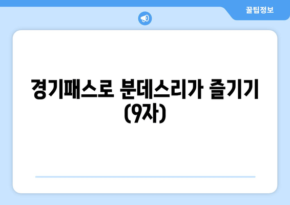 경기패스로 분데스리가 즐기기 (9자)