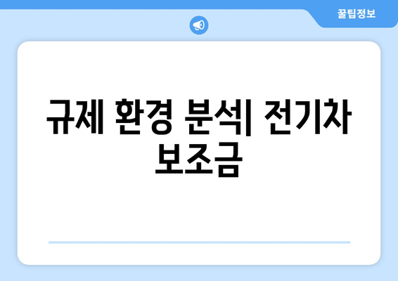 규제 환경 분석| 전기차 보조금