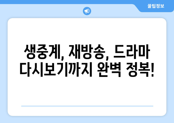 천원짜리 변호사 11~12회 실시간 시청 & 무료 다시보기 꿀팁 | 생중계, 재방송, 드라마 다시보기, 천원짜리변호사