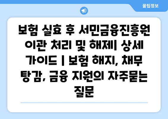 보험 실효 후 서민금융진흥원 이관 처리 및 해제| 상세 가이드 | 보험 해지, 채무 탕감, 금융 지원