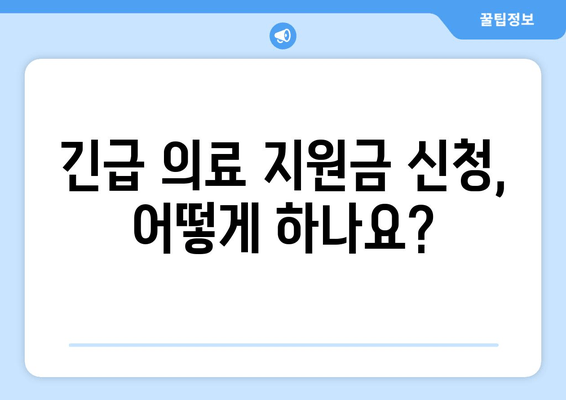 긴급 의료 지원금 신청 완벽 가이드| 자격 조건부터 절차까지 |  지원 대상, 필요 서류, 주의 사항