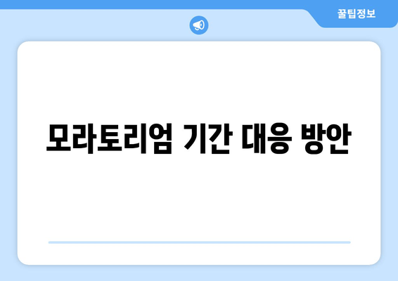 모라토리엄 기간 대응 방안