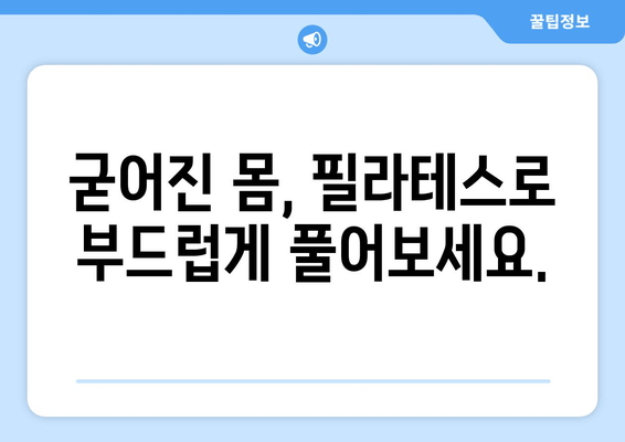 지족동 필라테스, 굳어진 자세 교정 필라테스 솔루션 | 자세 개선, 통증 완화, 체형 교정, 전문 강사진