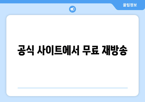 공식 사이트에서 무료 재방송