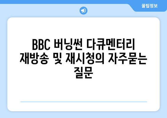 BBC 버닝썬 다큐멘터리 재방송 및 재시청