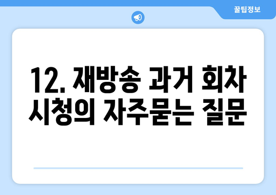 12. 재방송 과거 회차 시청