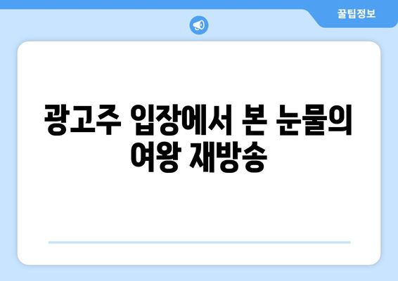 광고주 입장에서 본 눈물의 여왕 재방송