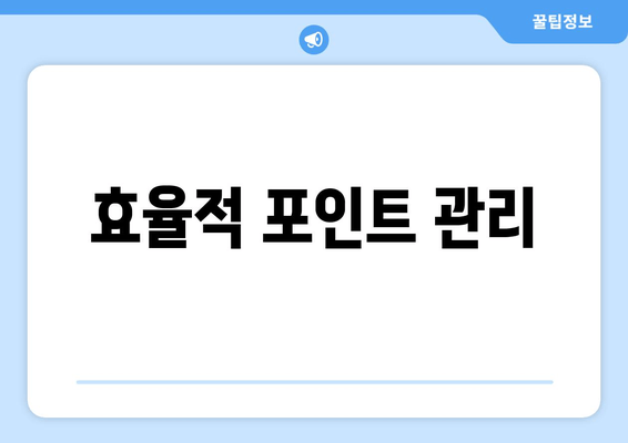 효율적 포인트 관리