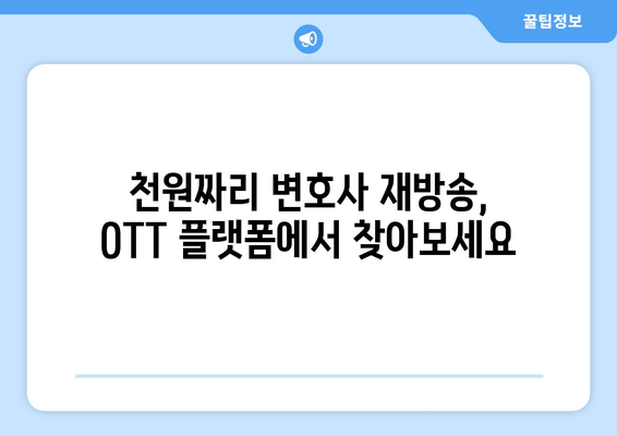 천원짜리 변호사 무료 재방송, 어디서 볼 수 있을까요? | 다양한 플랫폼 총정리