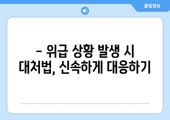 해외여행 안전 가이드| 주의사항 & 주요 재외공관 연락처 | 여행 준비, 안전 정보, 비상 연락처