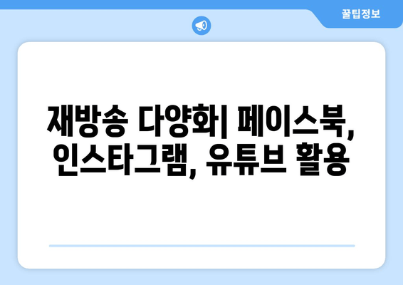 재방송 다양화| 페이스북, 인스타그램, 유튜브 활용