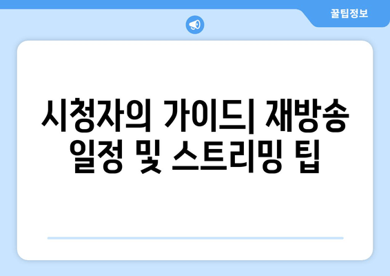 시청자의 가이드| 재방송 일정 및 스트리밍 팁