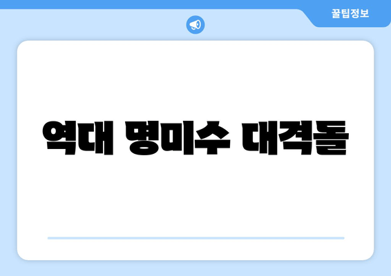 역대 명미수 대격돌