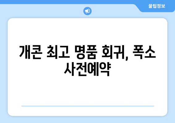 개콘 최고 명품 회귀, 폭소 사전예약