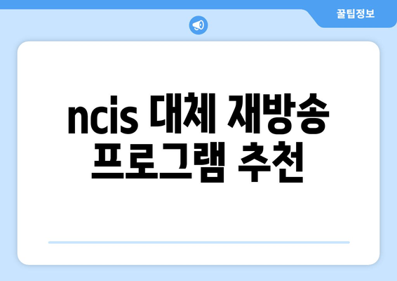 ncis 대체 재방송 프로그램 추천