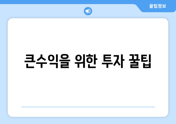 큰수익을 위한 투자 꿀팁