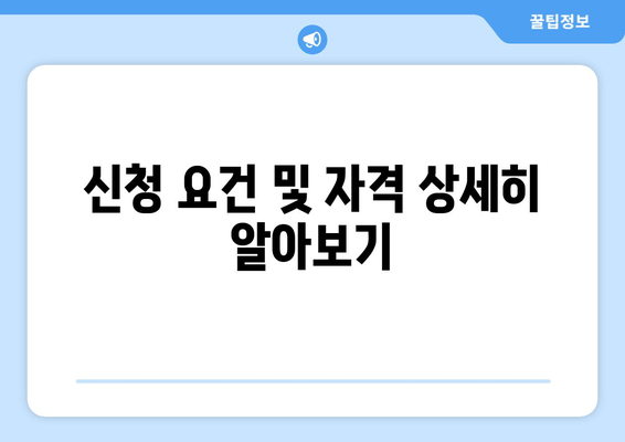 신청 요건 및 자격 상세히 알아보기