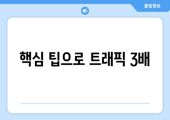 핵심 팁으로 트래픽 3배