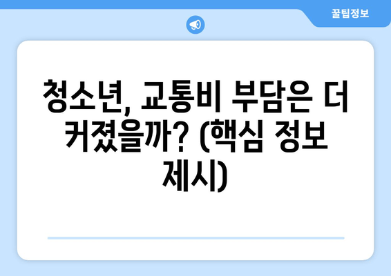 청소년, 교통비 부담은 더 커졌을까? (핵심 정보 제시)