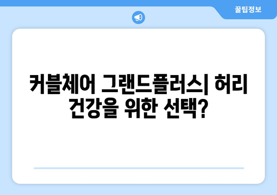 커블체어 그랜드플러스, 자세 교정 효과와 특징 비교 분석 |  장점, 단점, 사용 후기