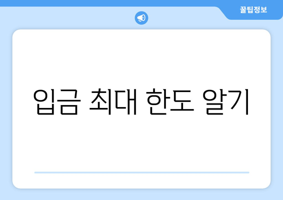 입금 최대 한도 알기