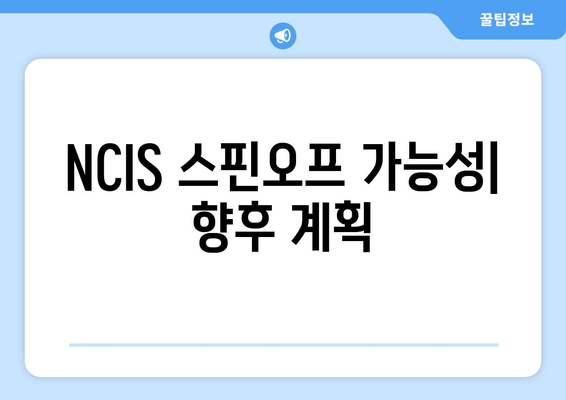 NCIS 스핀오프 가능성| 향후 계획