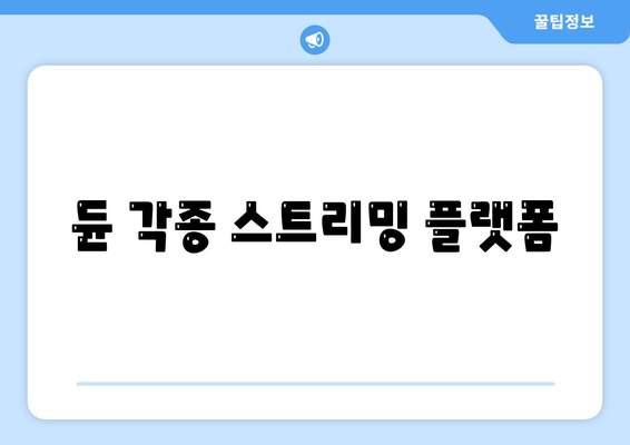 듄 각종 스트리밍 플랫폼