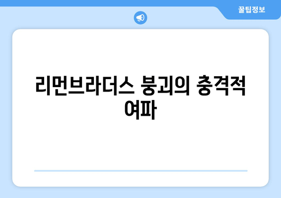 리먼브라더스 붕괴의 충격적 여파