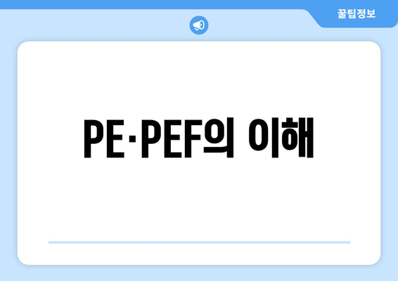 PE·PEF의 이해