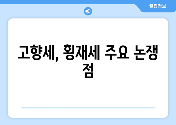 고향세, 횡재세 주요 논쟁 점