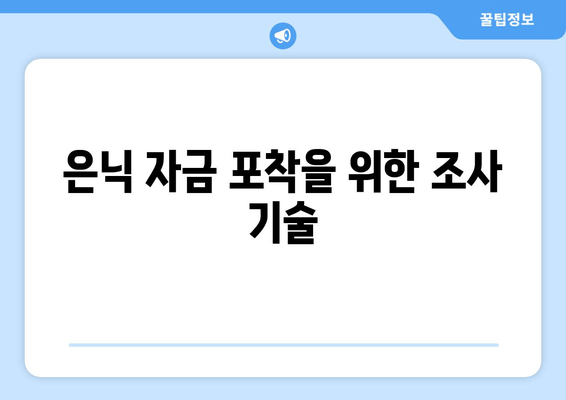 은닉 자금 포착을 위한 조사 기술