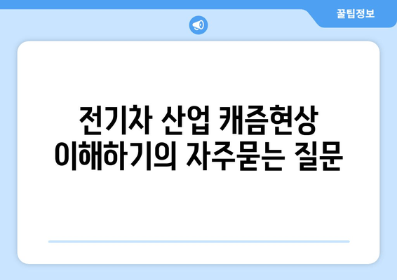 전기차 산업 캐즘현상 이해하기