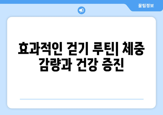 효과적인 걷기 vs 근력 향상 걷기| 당신에게 맞는 걷기는? | 걷기 운동, 효과 비교, 운동 루틴, 근력 강화