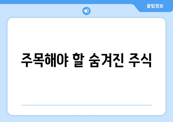 주목해야 할 숨겨진 주식