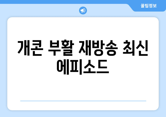 개콘 부활 재방송 최신 에피소드