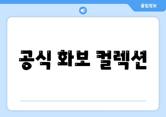 공식 화보 컬렉션