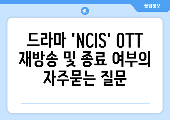 드라마 'NCIS' OTT 재방송 및 종료 여부