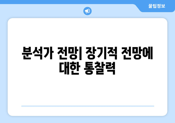 분석가 전망| 장기적 전망에 대한 통찰력