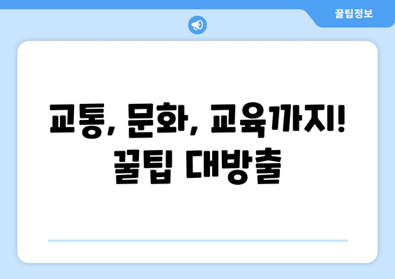 교통, 문화, 교육까지! 꿀팁 대방출