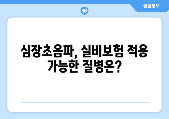 심장초음파, 실비보험 적용 가능한 경우는? | 건강보험, 보장 범위, 주의 사항